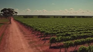 Jacob's Creek: Made by Australia